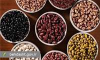 آیا مصرف حبوبات فشار خون را بالا می‌برد؟ پاسخ: خیر