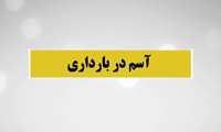 اهمیت کنترل آسم در بارداری در گفتگو با فوق تخصص ریه