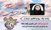  اهدای عضو بانوی فسایی؛ جان‌بخشی مادری پس از مرگ مغزی