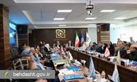 اهمیت اجرای نظام ارجاع در صندوق بیماران خاص، صعب العلاج و نادر