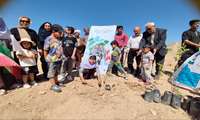 کاشت نهال توسط کودکان فسایی در نخستین روز هفته ملی جمعیت