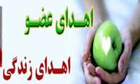 اهداء اعضاء جوان 23 ساله فسایی به سه هموطن نیازمند پیوند زندگی دوباره بخشید.