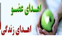 اهداء اعضاء بانوی فسایی به سه هموطن نیازمند پیوند زندگی دوباره بخشید.