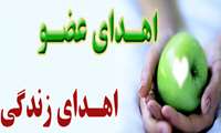 با فداکاری خانواده  نی ریزی انجام گرفت ؛ اهدای اعضای خانم 58ساله دچار مرگ مغزی به سه بیمار در انتظار پیوند