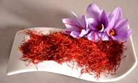 راه های شناسایی زعفران تقلبی/ توجه به نوع بسته بندی و مشخصات درج شده بر روی بسته ها در زمان خرید زعفران